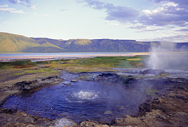 Hot springs, Lake Bogoria, Kenya, East Africa, Africa