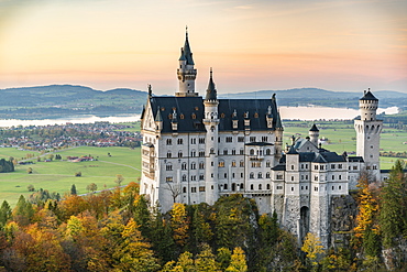 Neuschwanstein Castle surrounded by coloured fir trees at sunset, Schwangau, Schwaben, Bavaria, Germany, Europe