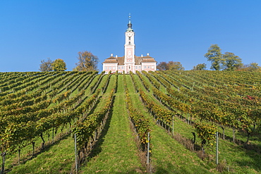 Birnau sanctuary and vineyards from below, Uhldingen-Muhlhofen, Baden-Wurttemberg, Germany, Europe