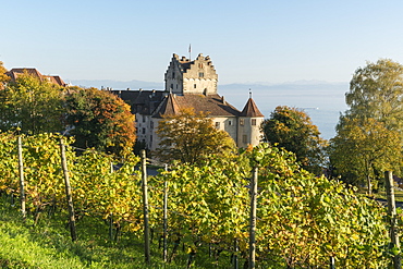 Vineyards and the Old castle in the background, Meersburg, Baden-Wurttemberg, Germany, Europe