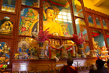 Buddha of the Karmapa temple, the Gyuto Tantric Monastery, Dharamsala, Himachal Pradesh, India, Asia