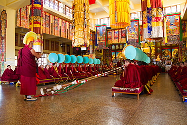 Buddhist monks of the yellow hat tradition, Gyuto Tantric Monastery, Dharamsala, Himachal Pradesh, India, Asia