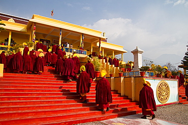 Buddhist monks of the yellow hat tradition, Gyuto Tantric Monastery, Dharamsala, Himachal Pradesh, India, Asia