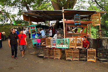 The bird and flower markets of Malang, Malang, East Java, Indonesia, Southeast Asia, Asia