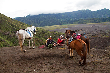 Horsemen and horses on the banks of Mount Bromo volcano, Eastern Java, Indonesia, Southeast Asia, Asia