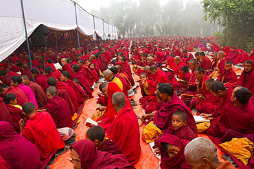 Buddhist monks of the Great Sakya Monlam prayer meeting at Buddha's birthplace, Lumbini, Nepal, Asia