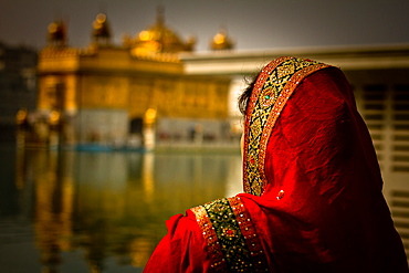 Sikh woman devotee of The Golden Temple of Amritsar, Punjab, India, Asia