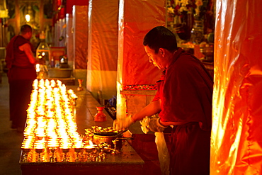 Tibetan Buddhist monks studying Buddhist scripture in Drepung Monastery, Lhasa, Tibet, China, Asia