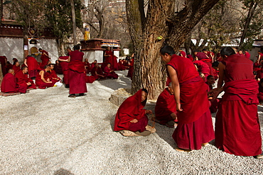 The debating Tibetan Buddhist monks of Sera monastery, Lhasa, Tibet, China, Asia