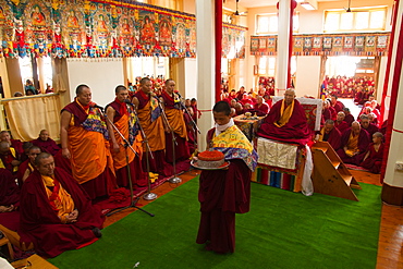 Tibetan Buddhist monks at Losar (Tibetan New Year) in the Dalai Lama Temple, McLeod Ganj, Dharamsala, Himachal Pradesh, India, Asia