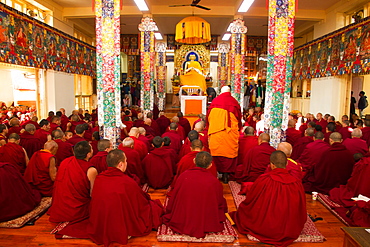 Tibetan Buddhist monks at Losar (Tibetan New Year) in the Dalai Lama Temple, McLeod Ganj, Dharamsala, Himachal Pradesh, India, Asia