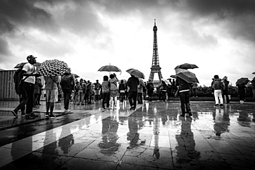 Reflections of tourists in the rain at the Palais De Chaillot looking out towards the Eiffel Tower, Paris, France, Europe