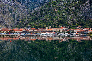 Old Town (stari grad) of Kotor reflected in Kotor Bay, UNESCO World Heritage Site, Montenegro, Europe