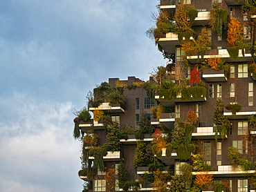 Porta Nuova, Bosco Verticale at sunrise, Milan, Lombardy, Italy, Europe