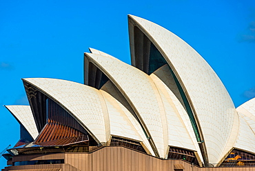 Detail of Sydney Opera House sails, UNESCO World Heritage Site, Sydney, New South Wales, Australia, Pacific