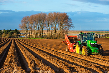 Rural landscape, tractors ploughing and sowing fields in early Spring time at Burnham Overy, Norfolk, East Anglia, England, United Kingdom, Europe