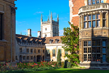 Pembroke College with the Pitt Building to the rear, Cambridge University, Cambridge, Cambridgeshire, England, United Kingdom, Europe