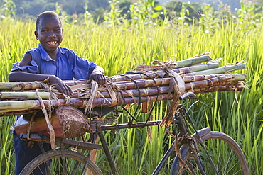 A boy smiling as he takes a rest from pushing a pile of sugar cane on his bike, Uganda, Africa