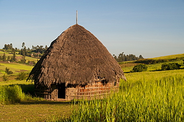 A traditional mud hut with a thatched roof in rural Ethiopia, Africa