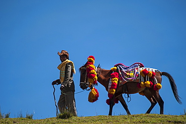 A man leads his horse with a colourful red and yellow traditional headdress along the brow of a hill, with blue sky behind them, Ethiopia, Africa