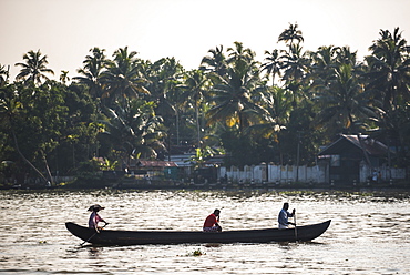 Dugout canoe fishing boat in the backwaters near Alleppey (Alappuzha), Kerala, India, Asia