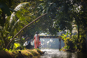 Backwaters near Alleppey (Alappuzha), Kerala, India, Asia