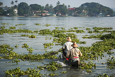 Fishermen, Fort Kochi (Cochin), Kerala, India, Asia