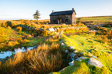 Nuns Cross Farm, Dartmoor National Park, Devon, England, United Kingdom, Europe