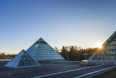 Muttart Conservatory, Edmonton, Alberta, Canada, North America