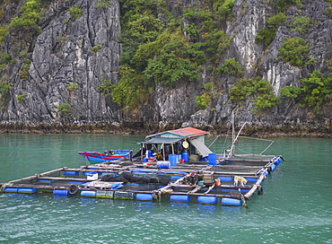 Floating fishing village in the Lan Ha Bay, Cat Ba Island, a typical Karst landscape in Vietnam, Indochina, Southeast Asia, Asia