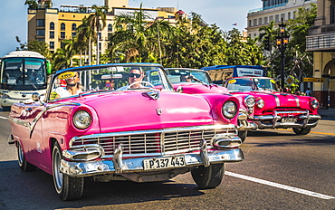 Colourful old American taxi cars driving in Havana, La Habana, Cuba, West Indies, Caribbean, Central America