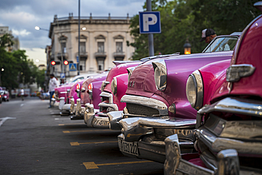 Colourful old American taxi cars parked in Havana at dusk, UNESCO World Heritage Site, La Habana, Cuba, West Indies, Caribbean, Central America