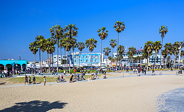 Venice Beach, Los Angeles, California, United States of America, North America