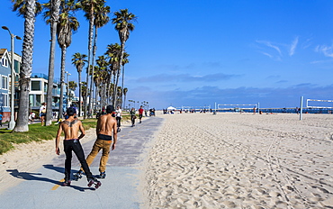 Venice Beach, Los Angeles, California, United States of America, North America