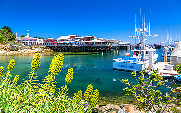 Fisherman's Wharf, Monterey Bay, Peninsula, Monterey, Pacific Ocean, California, United States of America, North America