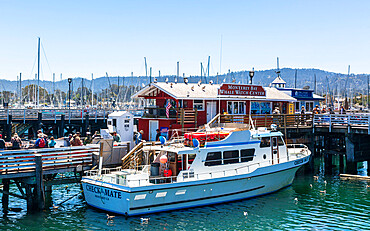 Fisherman's Wharf, Monterey Bay, Peninsula, Monterey, Pacific Ocean, California, United States of America, North America