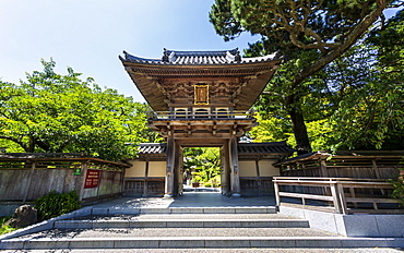 Japanese Tea Garden, Golden Gate Park, San Francisco, California, United States of America, North America