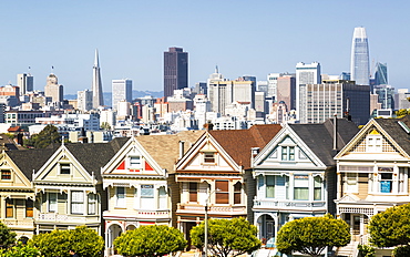 View of Painted Ladies, Victorian wooden houses, Alamo Square, San Francisco, California, United States of America, North America