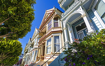 View of Painted Ladies, Victorian wooden houses, Alamo Square, San Francisco, California, United States of America, North America