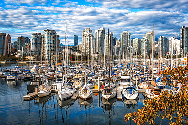 View of Vancouver skyline and False Creek in autumn, Vancouver, British Columbia, Canada, North America