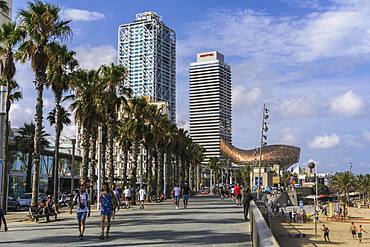 Palm trees and pedestrian zone promenade with modern art and skyscrapers in the background by waterfront, Barcelona Beach, Catalonia, Spain, Europe