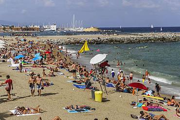 Lifeguard on an observation chair at a crowded Mediterranean sandy beach, Barcelona Beach, Catalonia, Spain, Europe