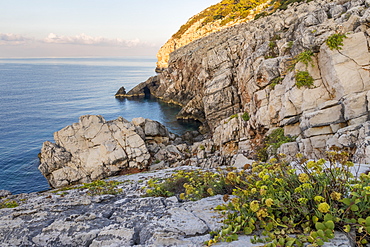 Cape Zakamenica at Mljet Island National Park, Croatia, Europe