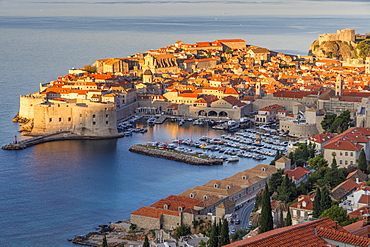 Elevated view over the old town of Dubrovnik at first sunlight, UNESCO World Heritage Site, Dubrovnik, Croatia, Europe