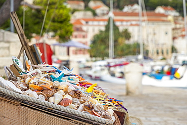 Boxes full of sea shells and sea stars for sale at the port of Hvar Town, Hvar, Croatia, Europe