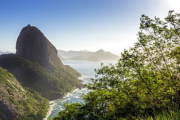 The Sugarloaf Mountain seen from Babilonia Hill (Morro da Babilonia), Rio de Janeiro, Brazil, South America