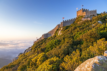 The Moorish Castle seen from a natural lookout, Sintra, Portugal, Europe