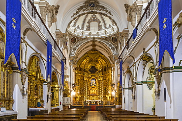 Interior of the San Francisco Church, Cordoba, Andalusia, Spain, Europe