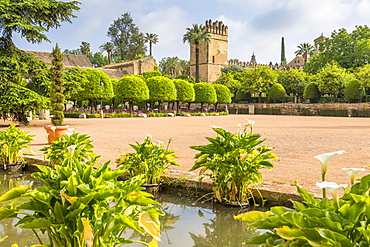 Garden of the Alcazar de los Reyes Cristianos, UNESCO World Heritage Site, Cordoba, Andalusia, Spain, Europe