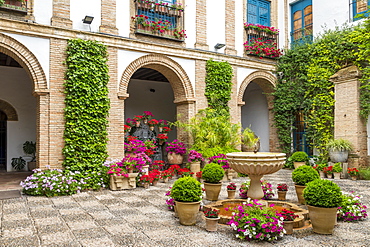 Inner courtyard of the Viana Palace, Cordoba, Andalusia, Spain, Europe